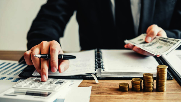 Domestic Taxation