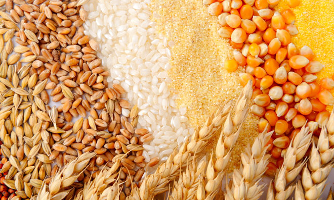 agro commodity supplier