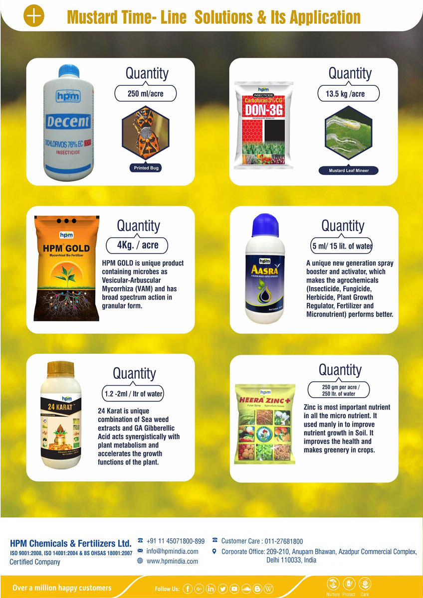 mustard