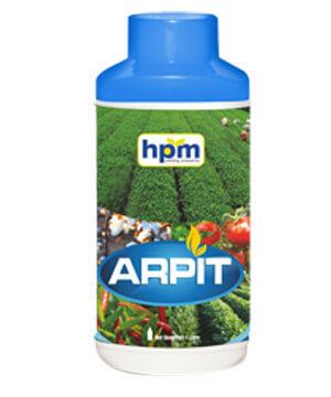 ARPIT