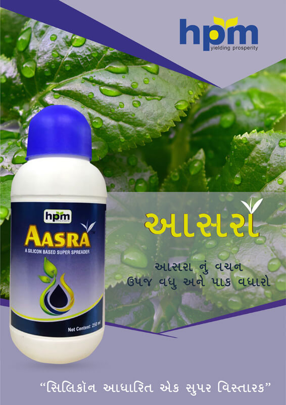 aasra