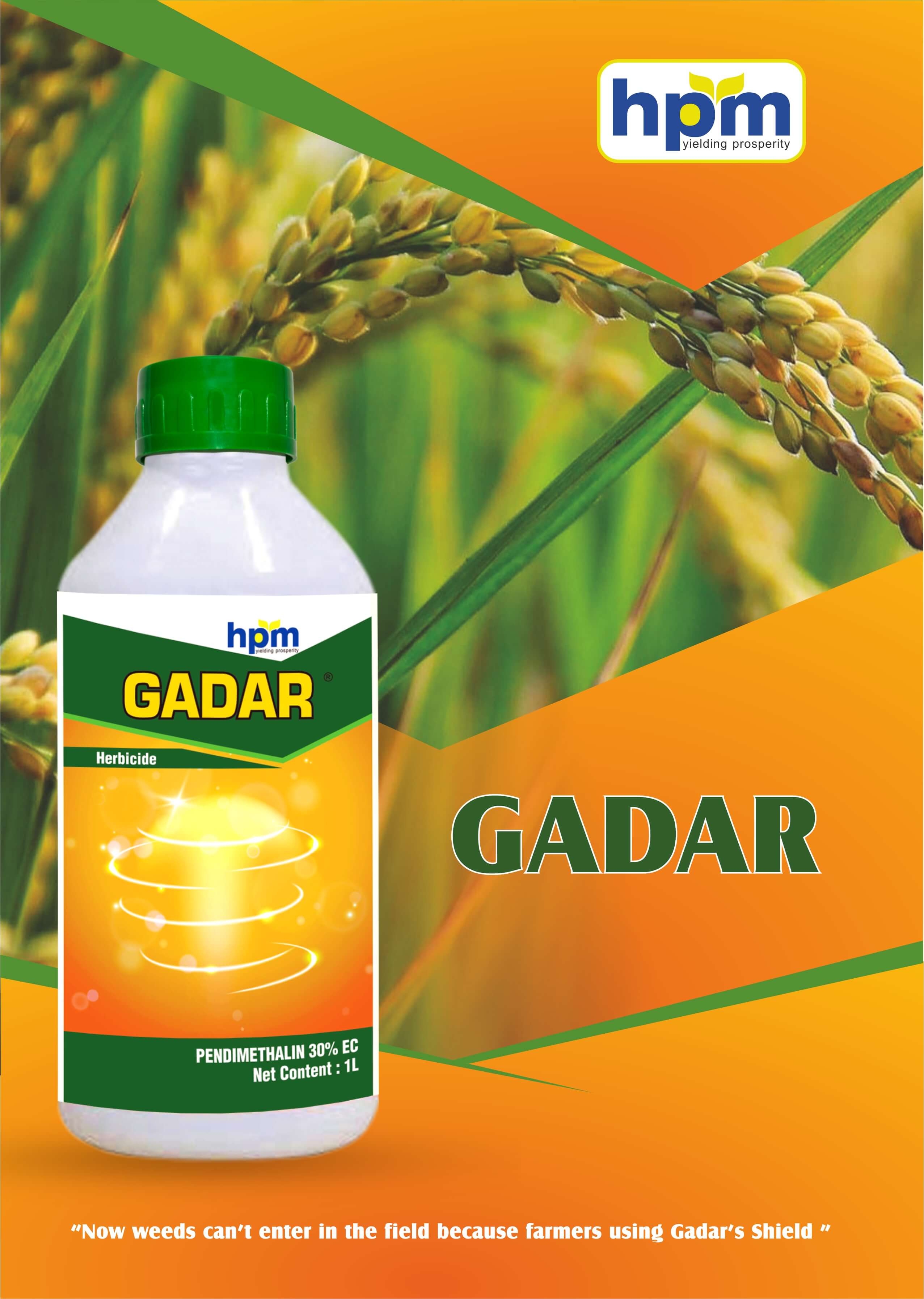 gadar
