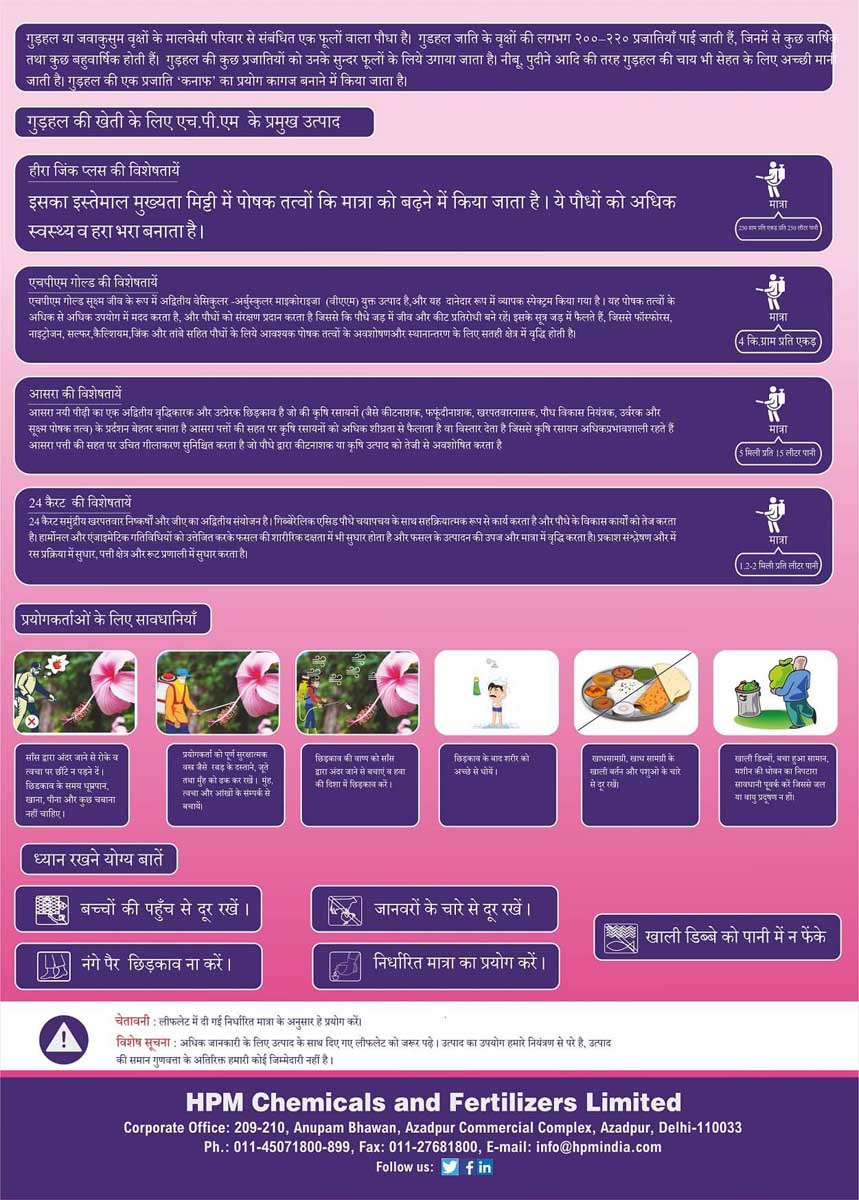 handbill