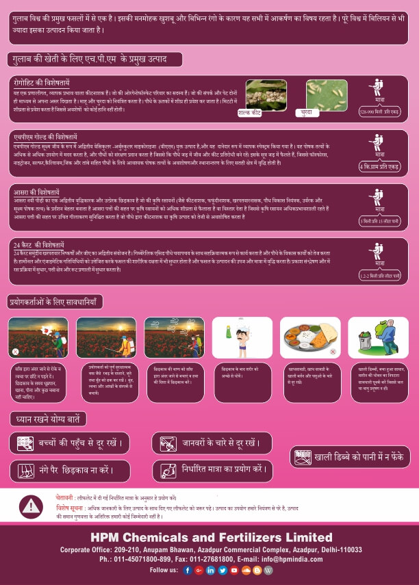 handbill