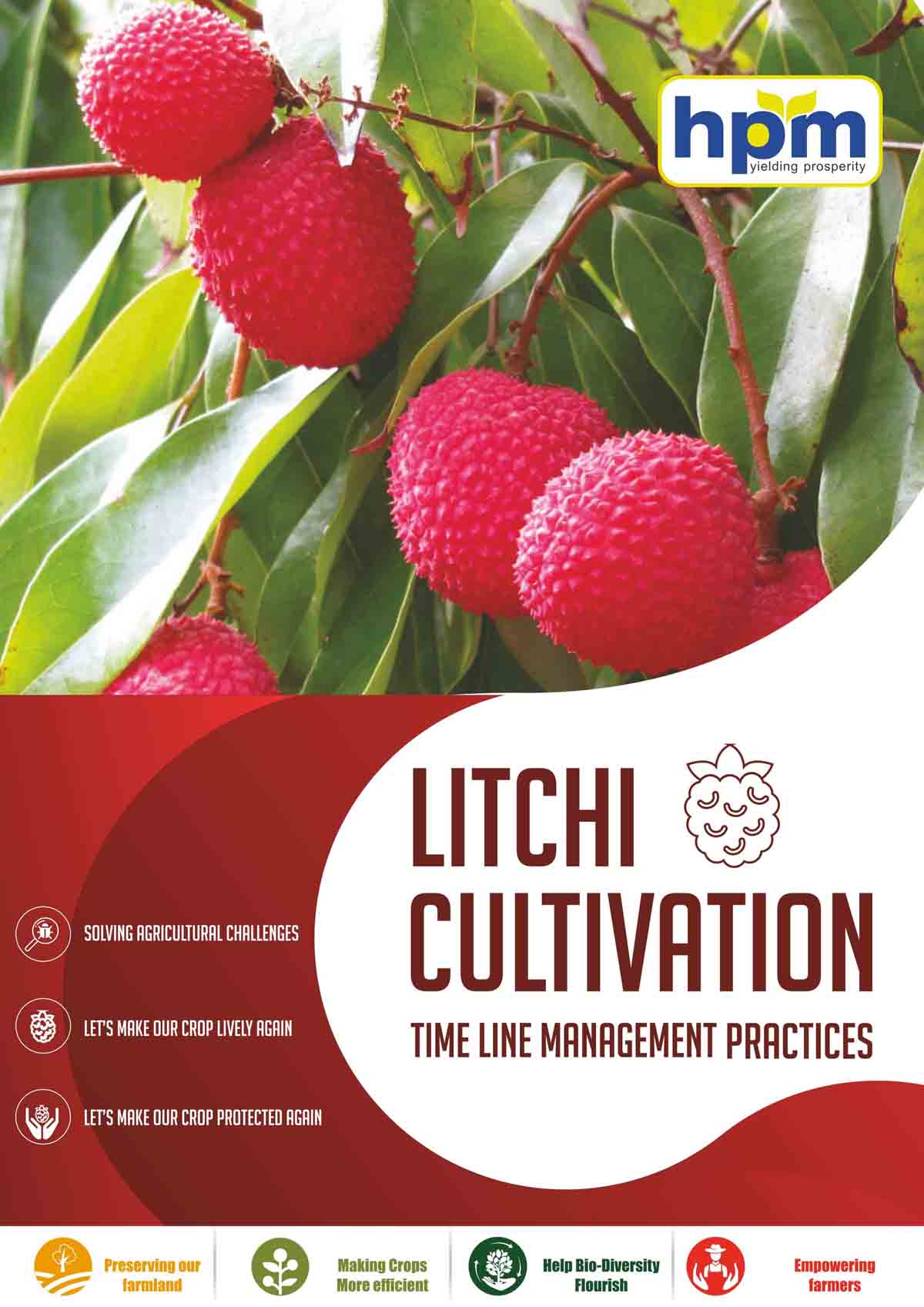litchi