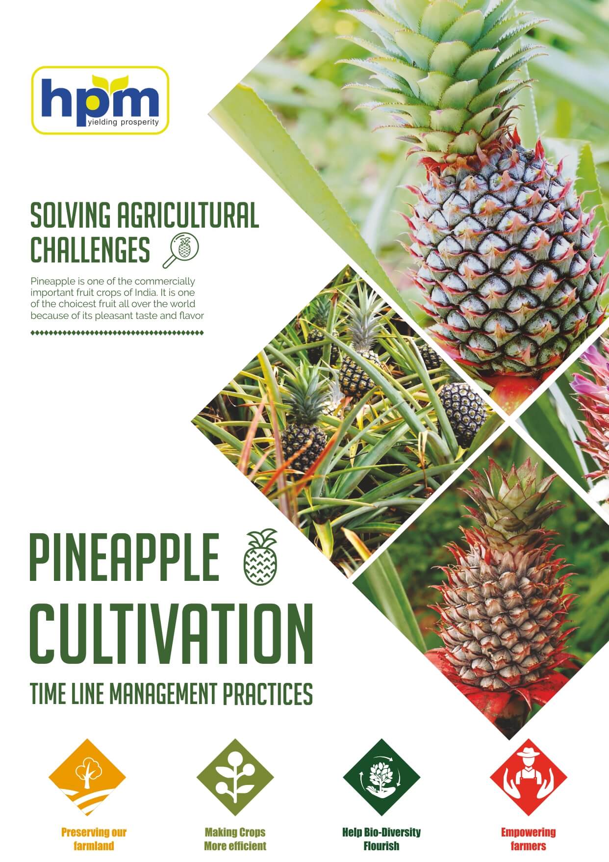 pineapple