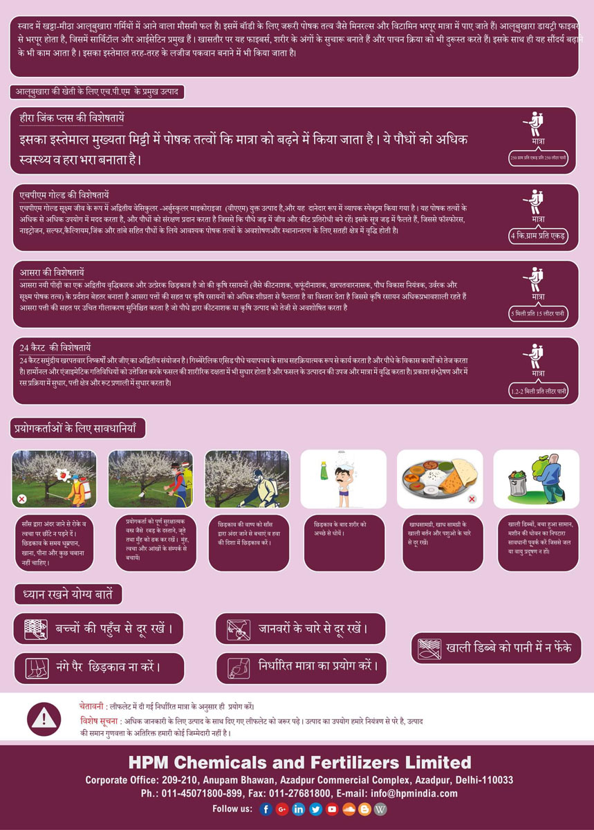 handbill