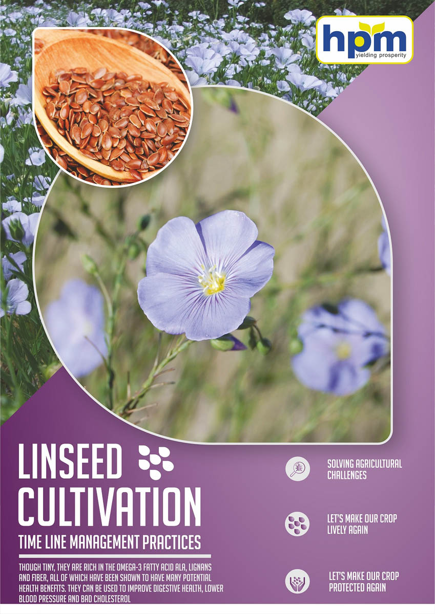 linseed