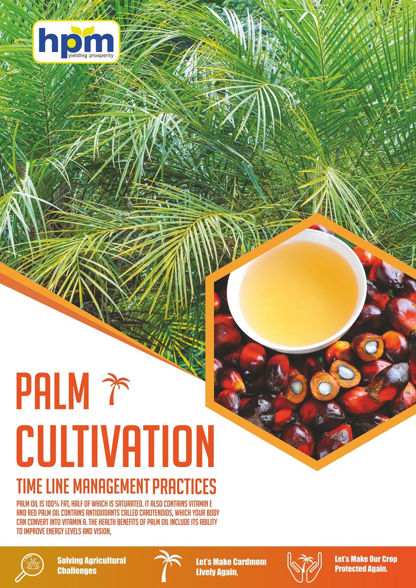 palm