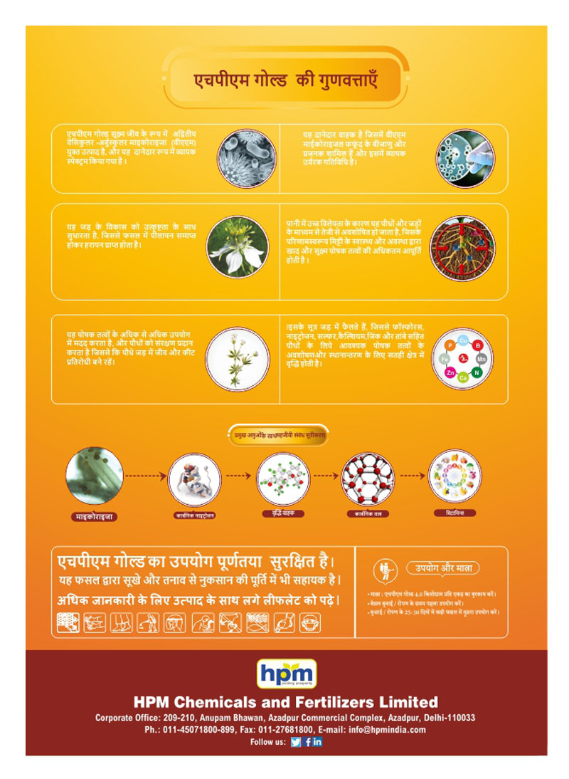 handbill
