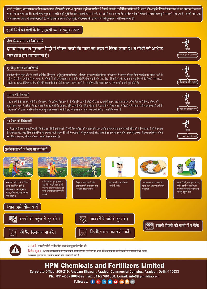 handbill