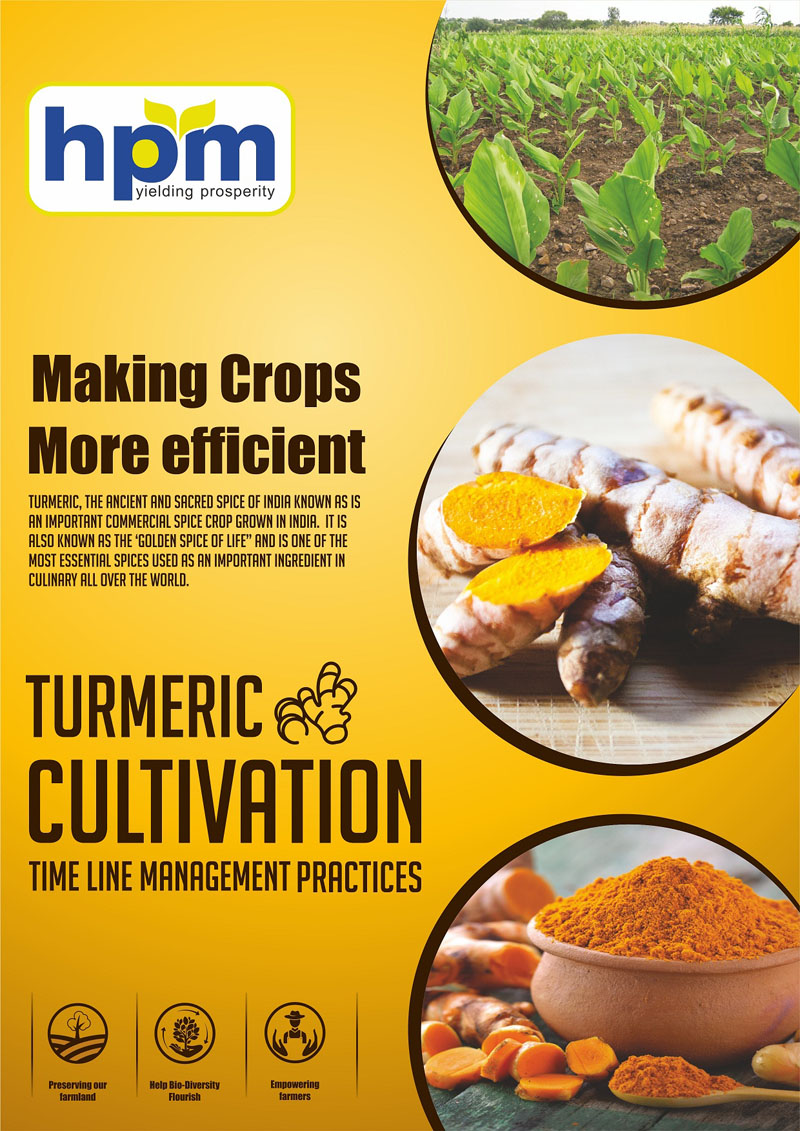 turmeric