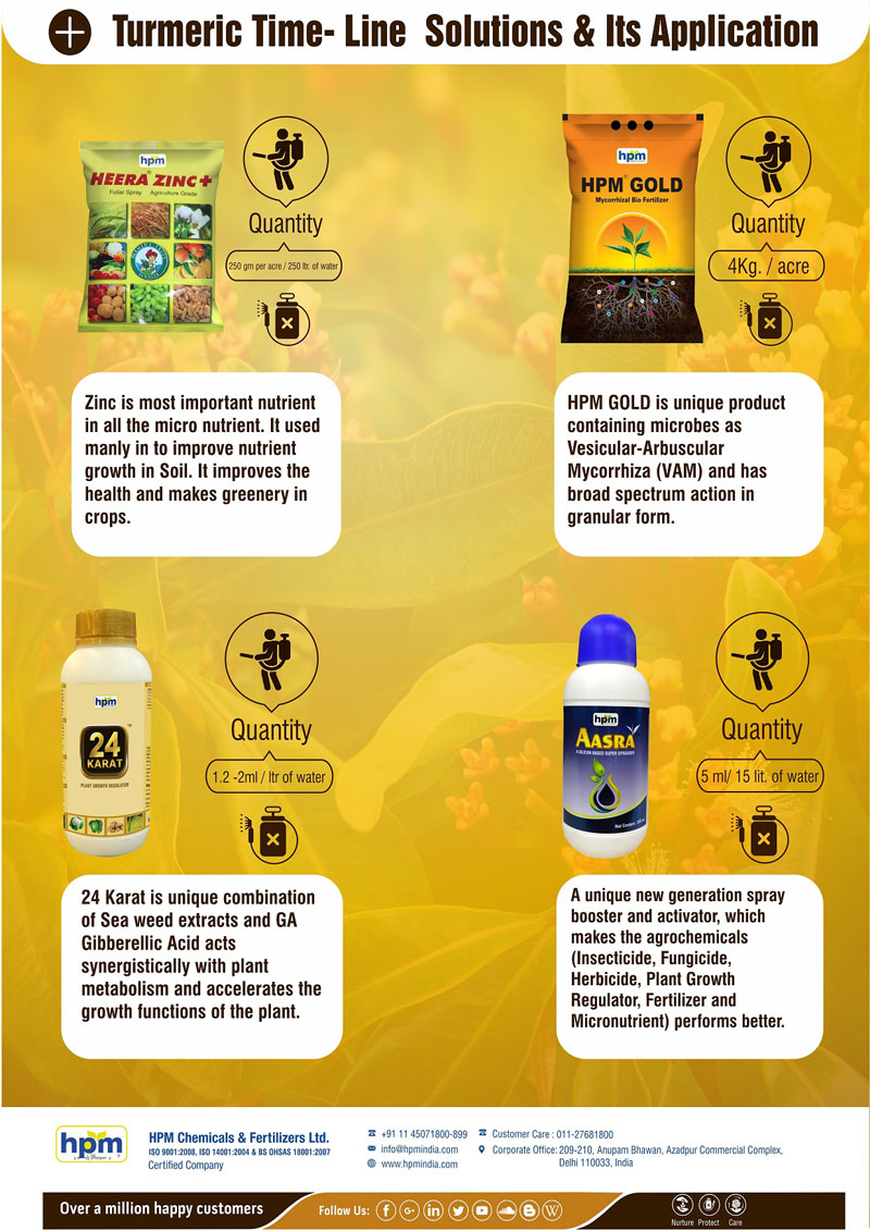 turmeric
