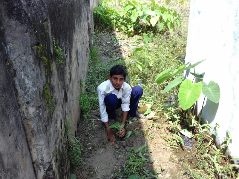Kalaiya