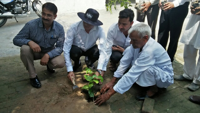 Meerut