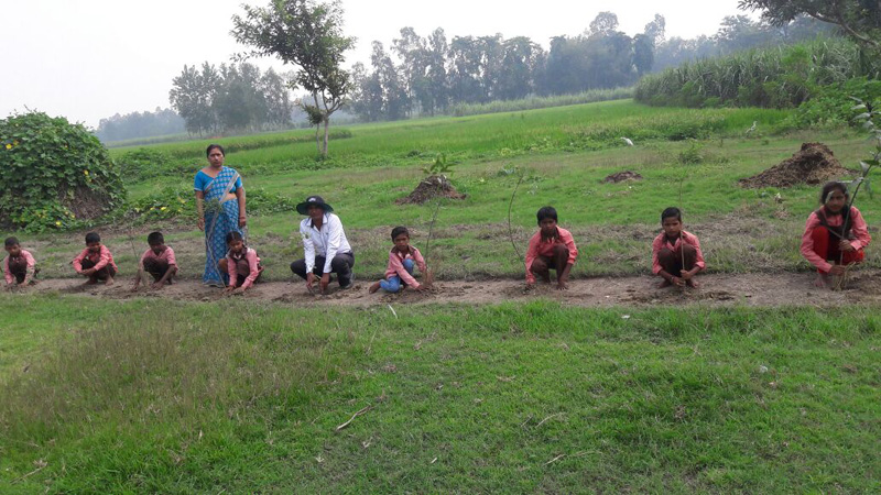 Pilibhit