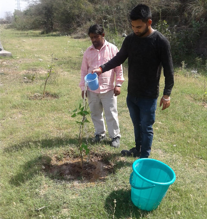 plantation samba