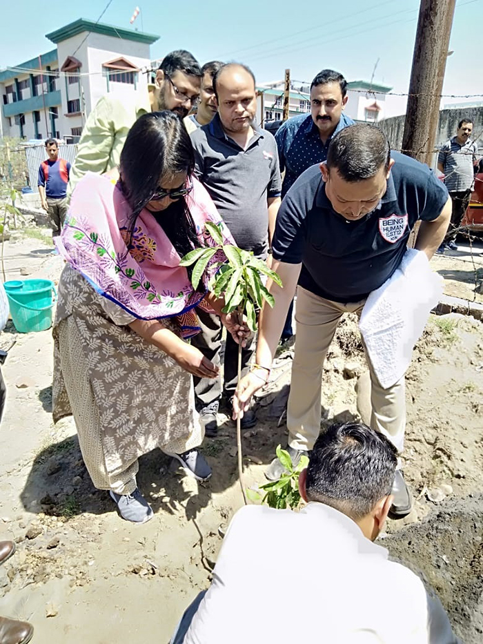 plantation samba