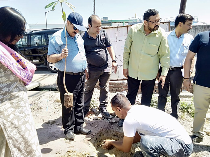 plantation samba