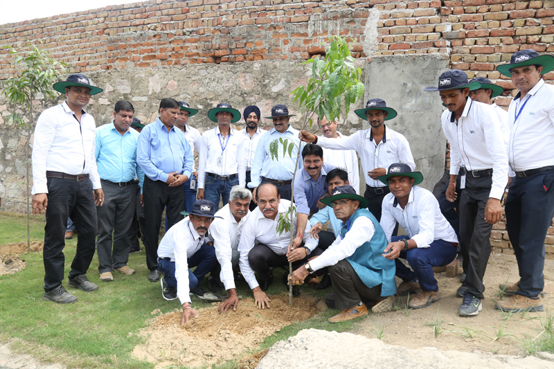 Kushkeda Plant Rajsthan