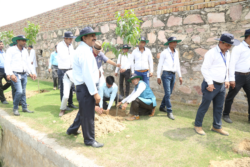 Kushkeda Plant Rajsthan