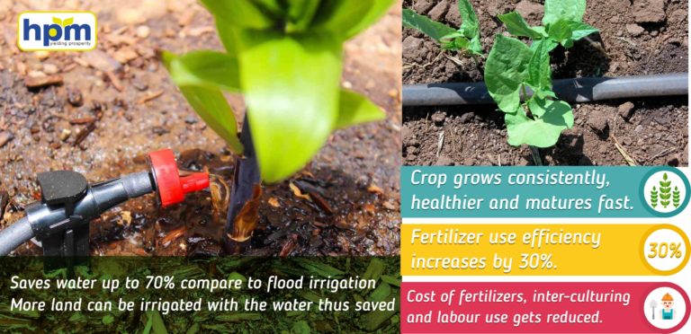 irrigation