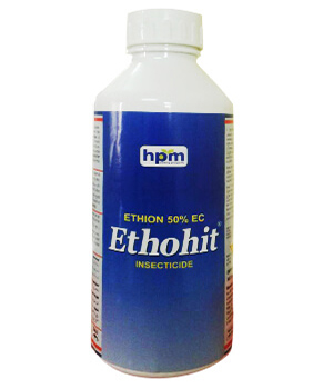 hifit