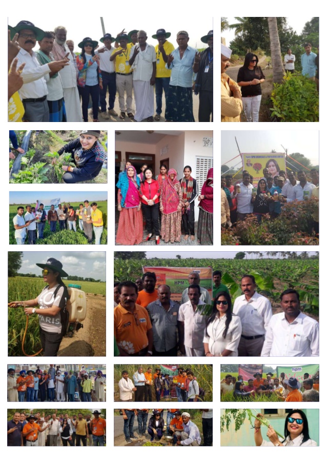 plantation samba