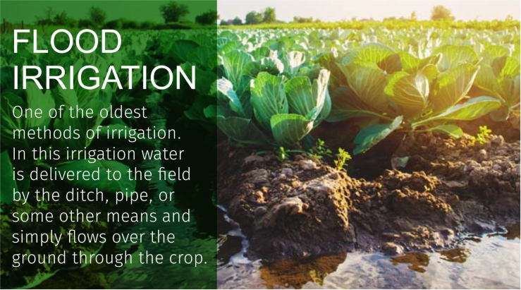 irrigation