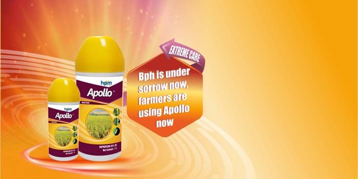 APOLLO