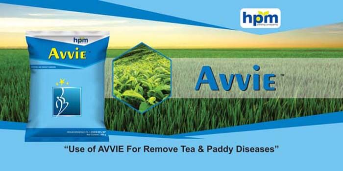 Avvie