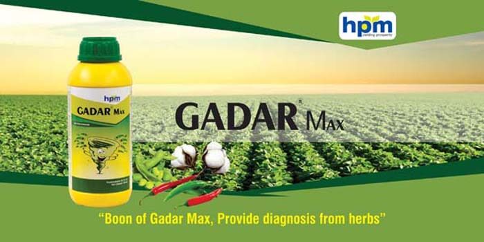 GADAR MAX