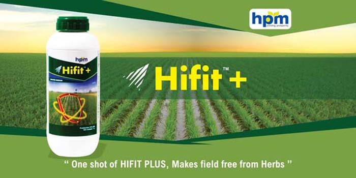 Hifit Plus