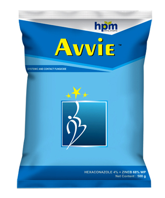 avvie