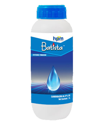 batista