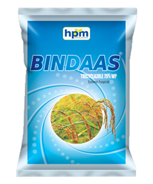 bindaas