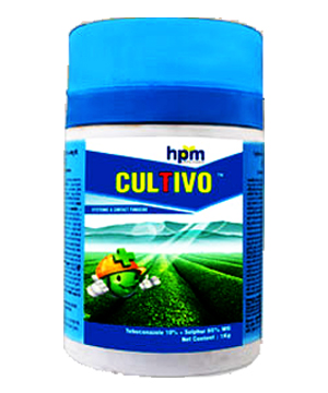cultivo