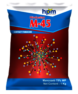 HINDUSTAN M45