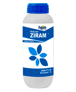 hindustan ziram