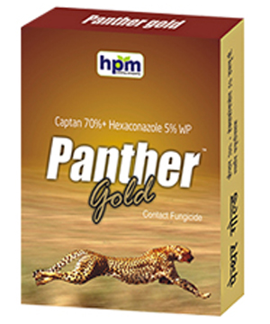 panther gold