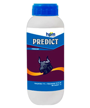 predict