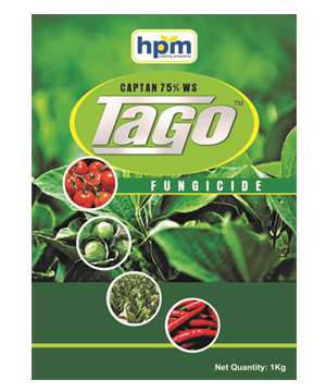 tago