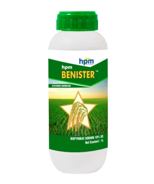 BENISTER 