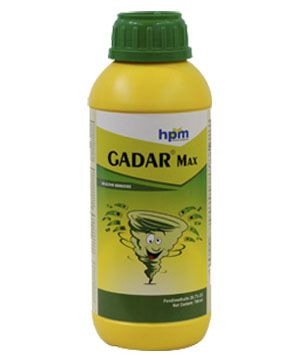 GADAR MAX