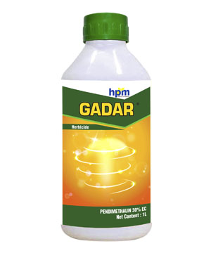 GADAR