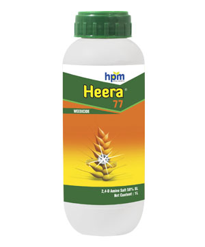 HEERA-77