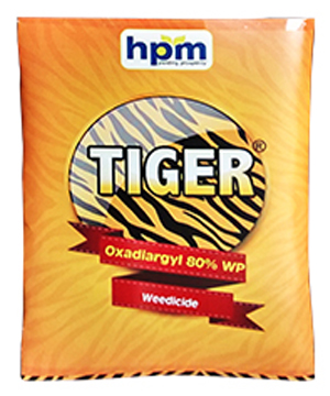 TIGER