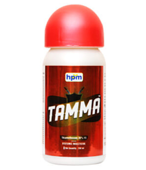 tamma