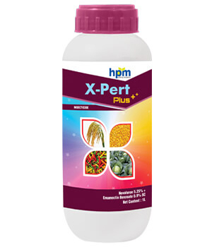 X-PERT