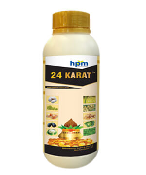 24 KARAT